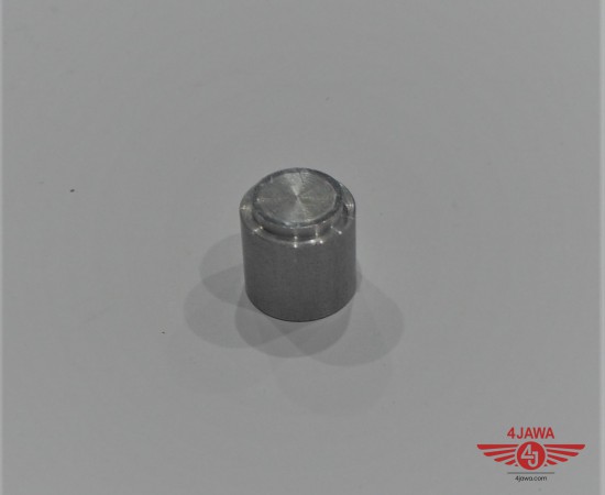 P1013790.JPG