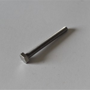 Screw M6x55, stainless steel, not polished A2