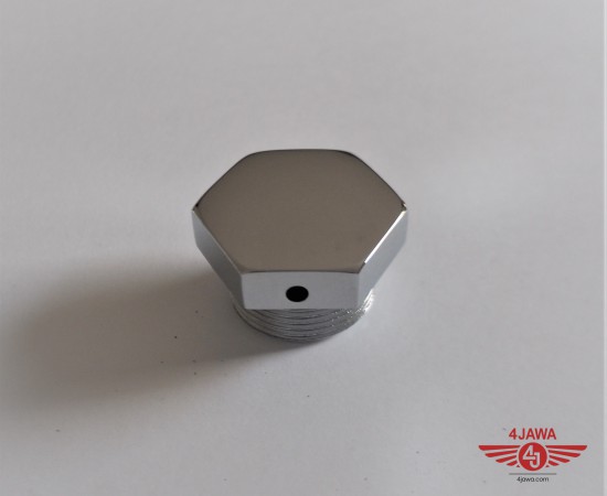 P1013509.JPG