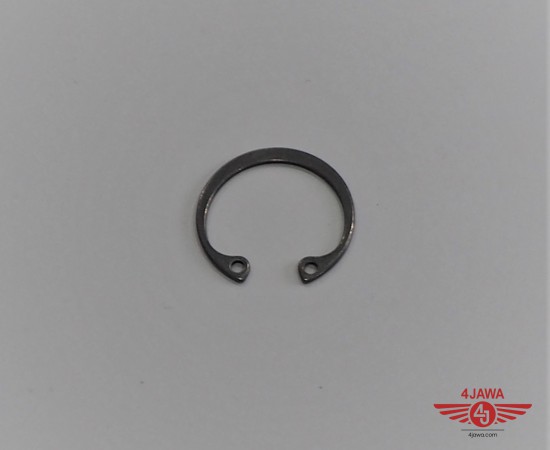 P1014029.JPG