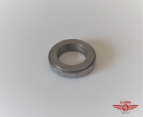P1014175.JPG