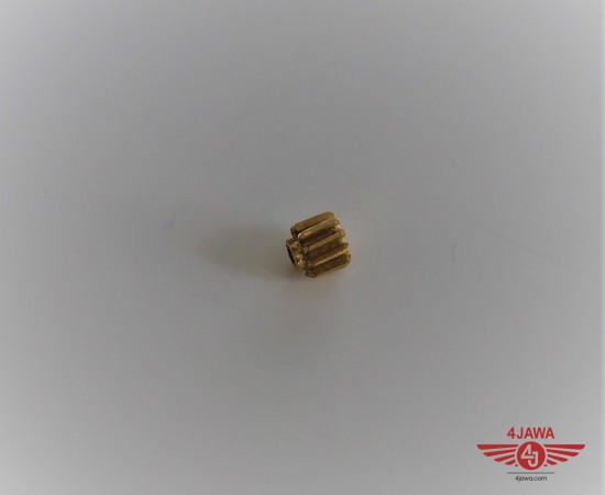 P1017899.JPG