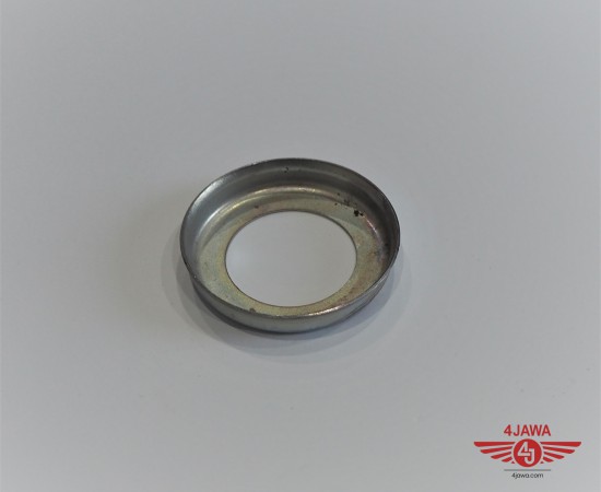 P1014550.JPG