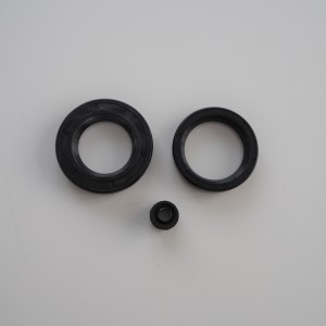 Oil seal set for engine, CZ 125-250