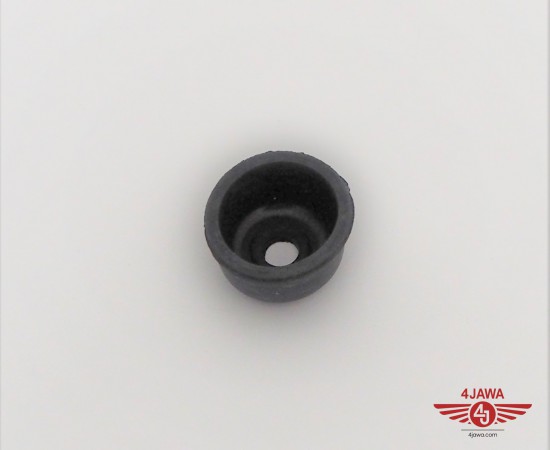 P1015715.JPG