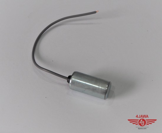 P1015825.JPG