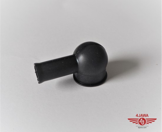 P1016020.JPG