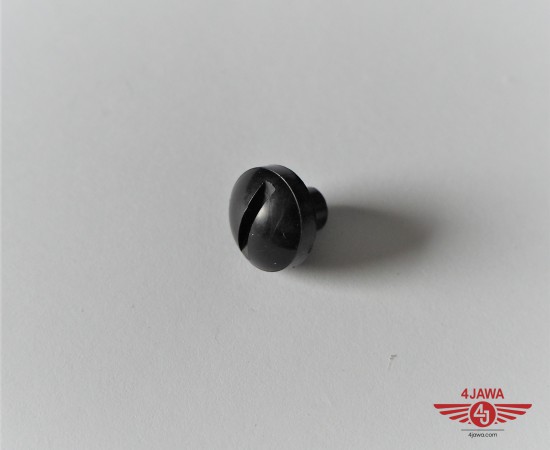 P1016566.JPG