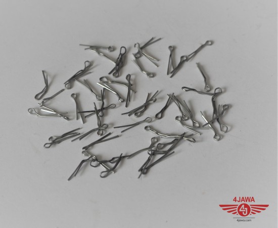 P1016943.JPG