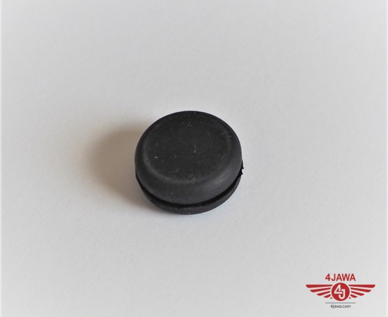P1017449.JPG