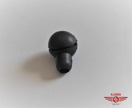 P1017456.JPG
