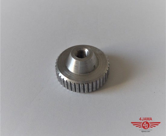 P1017538.JPG
