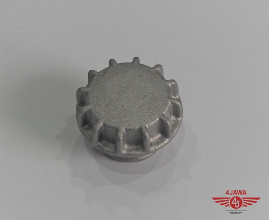 P1017715.JPG