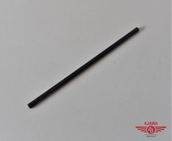 P1017841.JPG