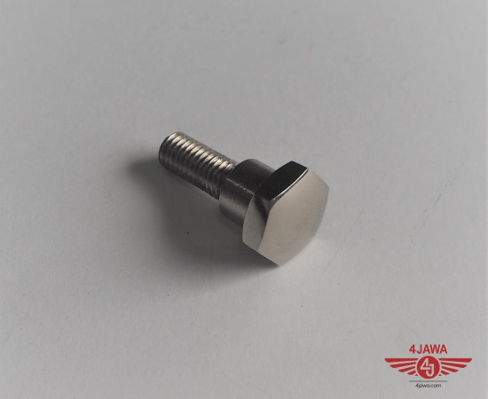 P1018100.JPG