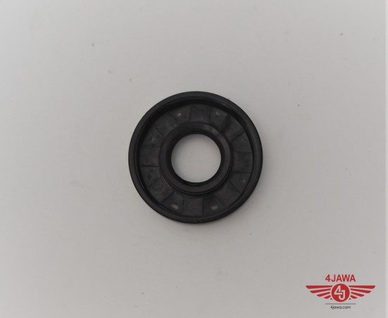 P1018508.JPG