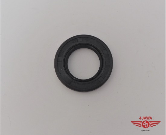 P1018491.JPG
