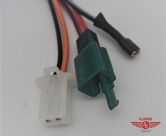 P1018273.JPG