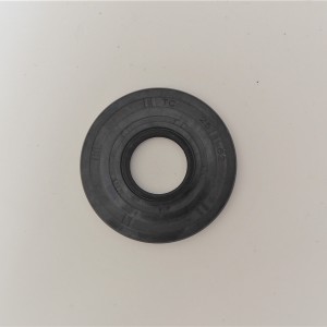 Oil seal 25x62x8