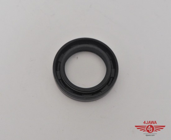 P1018421.JPG