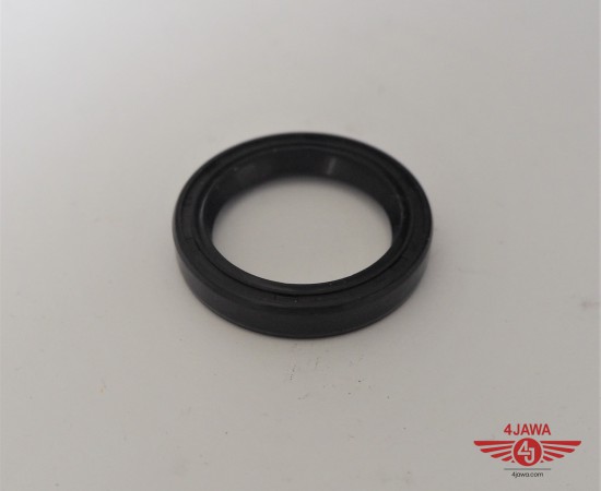 P1018433.JPG