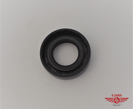P1018487.JPG