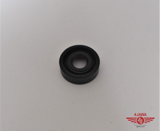 P1018408.JPG