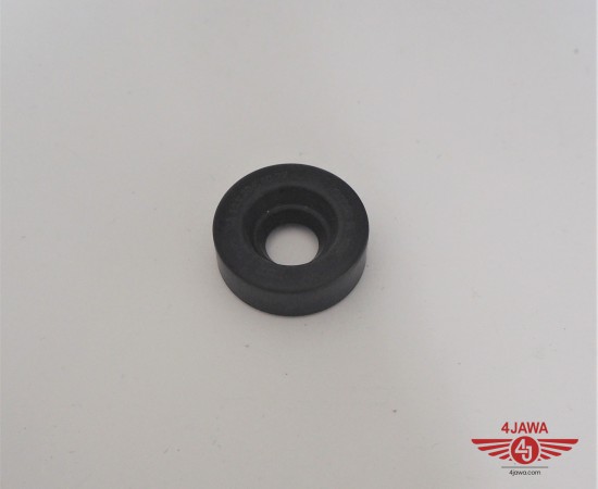 P1018404.JPG