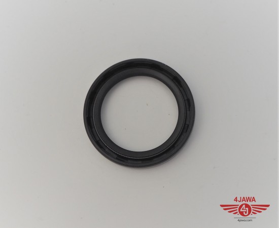 P1018463.JPG