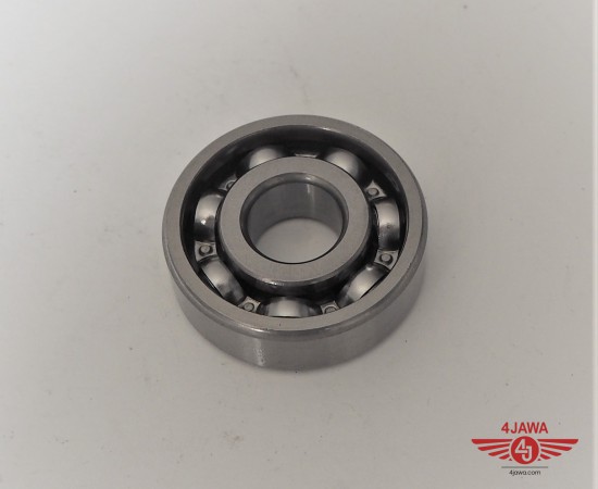 P1018580.JPG