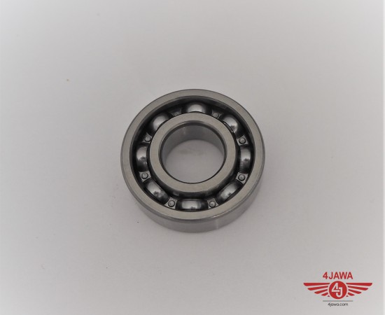 P1018661.JPG