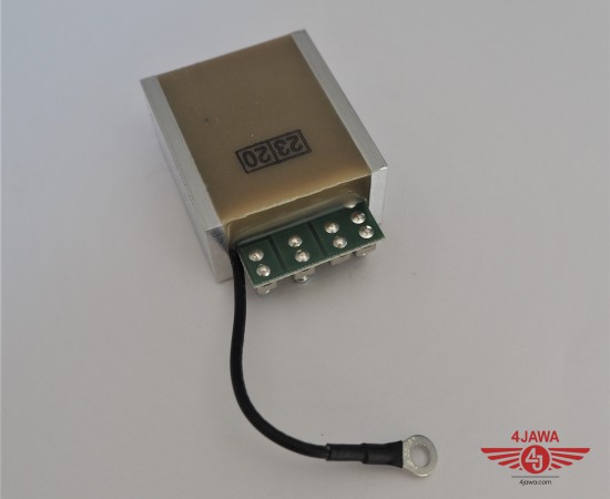 P1018840.JPG