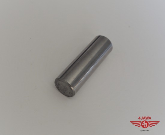 P1018760.JPG