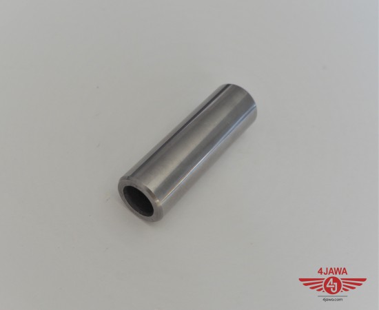P1018763.JPG