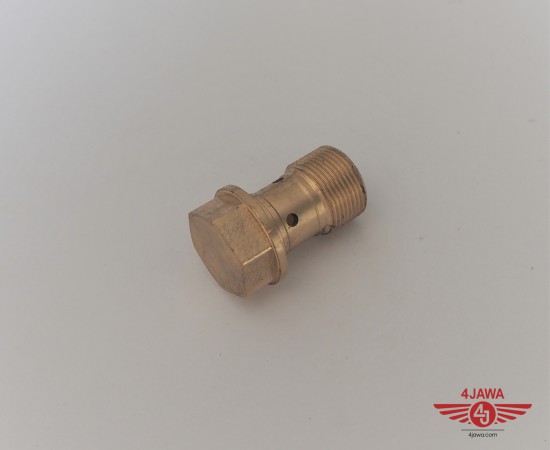 P1018844.JPG