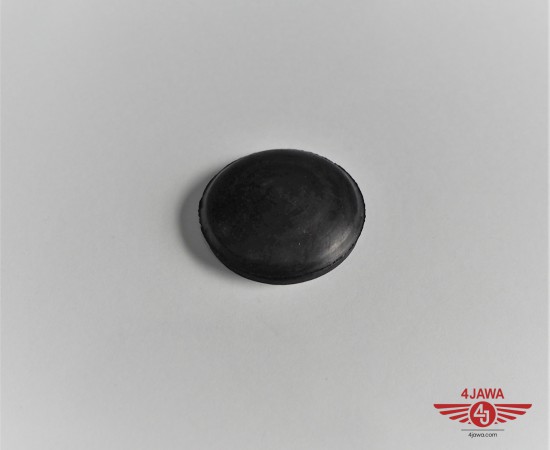 P1010883.JPG