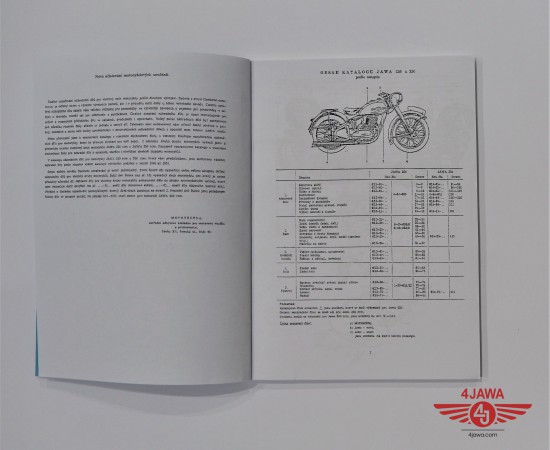 P1011010.JPG