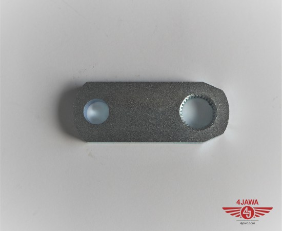 P1011479.JPG