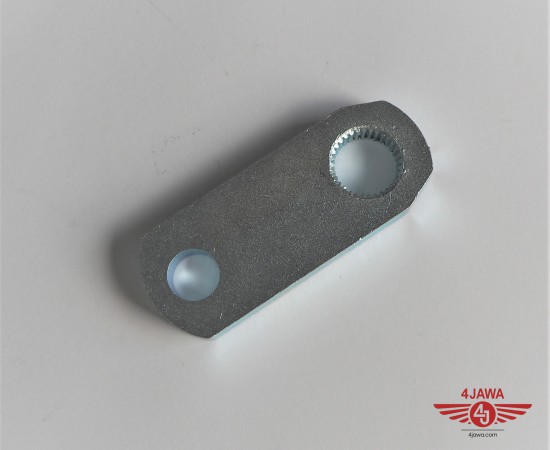 P1011480.JPG