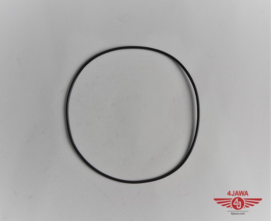 P1011568.JPG
