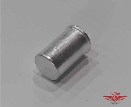 P1012375.JPG