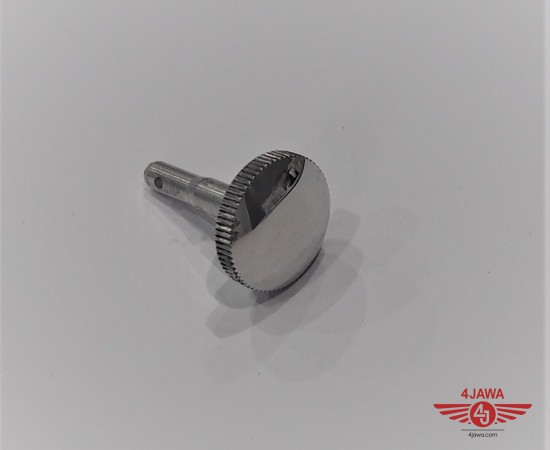 P1013346.JPG
