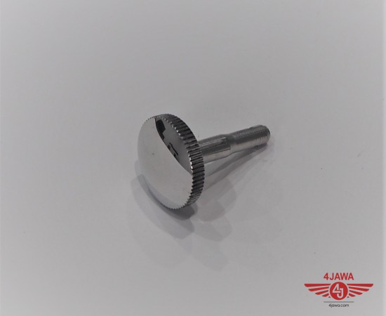 P1013342.JPG