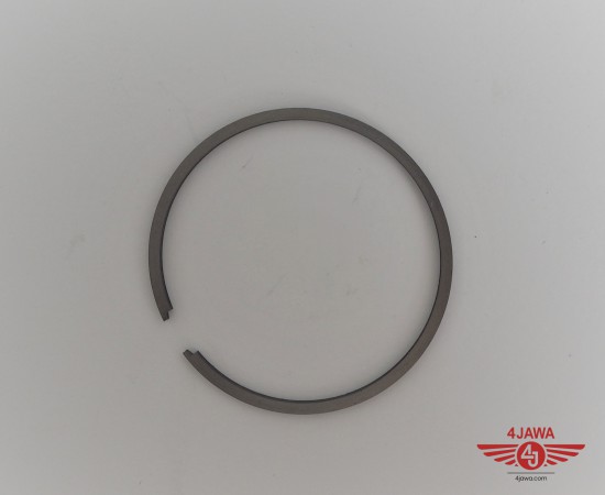 P1015009.JPG
