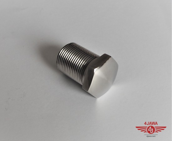 P1015763.JPG