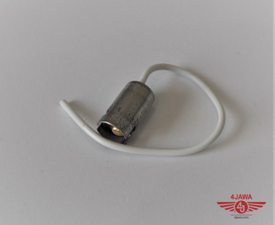P1016420.JPG