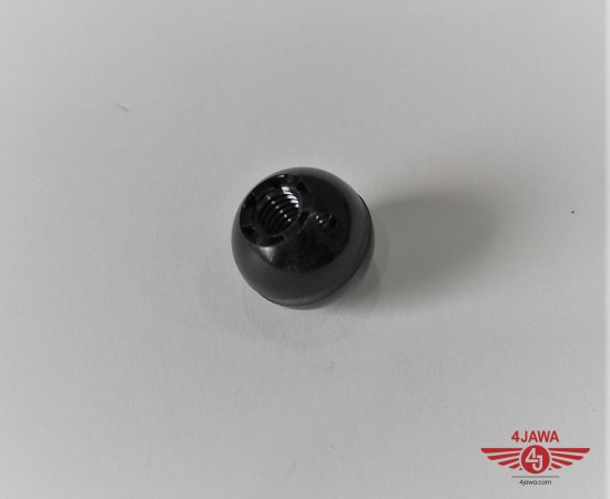 P1016445.JPG