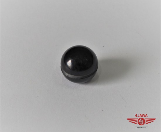 P1016444.JPG