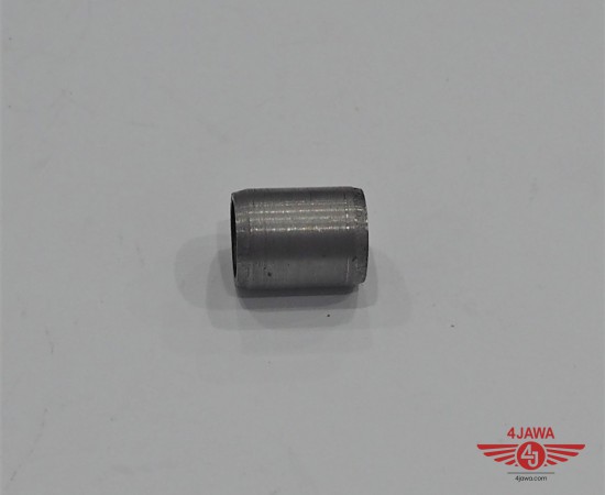 P1014155.JPG