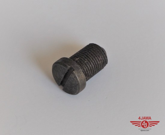 P1017474.JPG